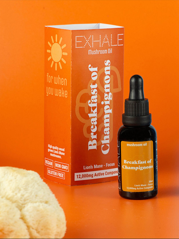 Breakfast of Champignons Mushroom Concentrate